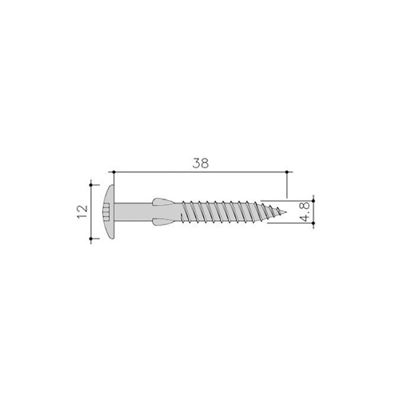 Picture of Siding Schroef Torx+Vlgls 100St 4,8X38 Rvs C01 Everest Wit