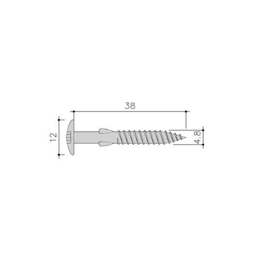 Picture of Siding Schroef Torx+Vlgls 100St 4,8X38 Rvs C07 Roomwit