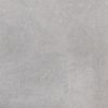 Vloertegel Sintesi - 60x60 Concept Stone Silver 